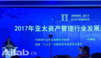 新浪6640萬美元投資土豆網持股9.05% 資本管理戰(zhàn)略解析