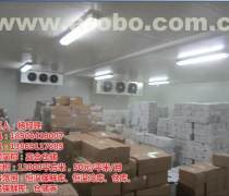 濟南倉儲產品庫 一站式解決方案，滿足您的儲藏需求