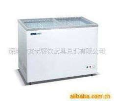 深圳市友記餐飲廚具總匯保鮮冷藏設備產品列表